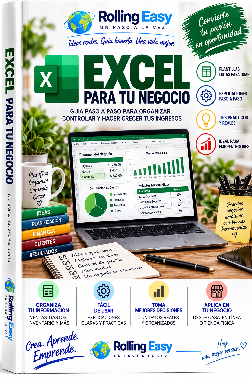 Plantilla Excel para Control de Ingresos y Gastos | Rolling Easy